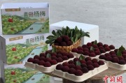 在线摇卦高速赋能产业升级：一条“杨梅路”的致富密码